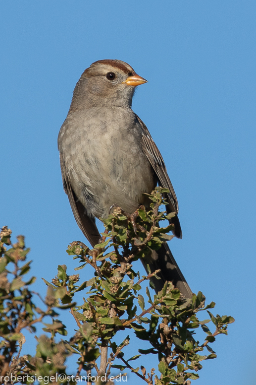 bedwellwetlands